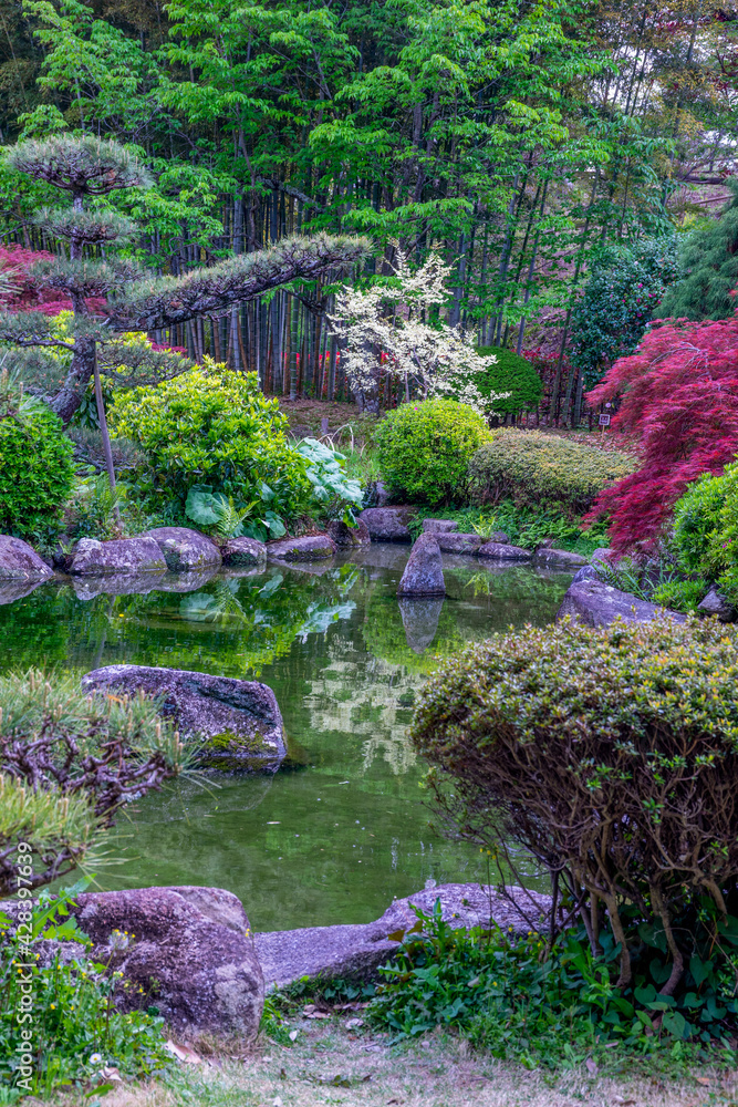 日本庭園の静かな春の景色
