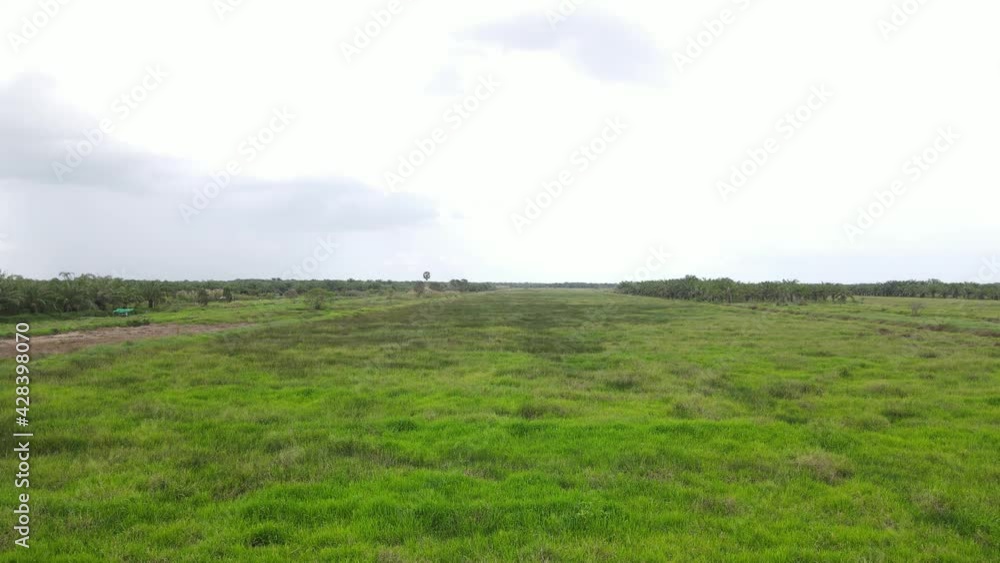 Drone View Grassland