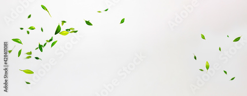 Collection of random green leaves falling in the air isolated on white background