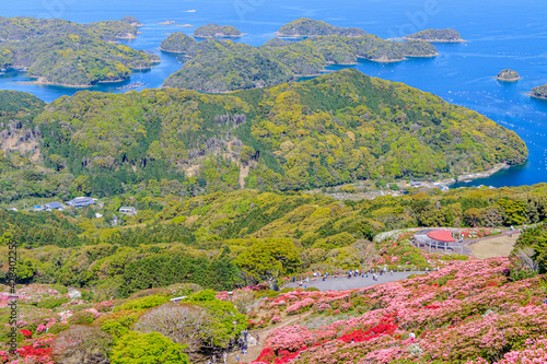 西海国立長串山公園のつつじ　長崎県佐世保市　Azalea Nagasaki-ken Sasebo city Saikai National Park Nagakushiyama park photo