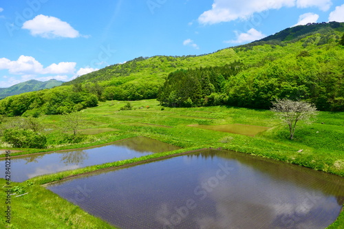 空を映す初夏の棚田。奥州、岩手、日本。５月下旬。