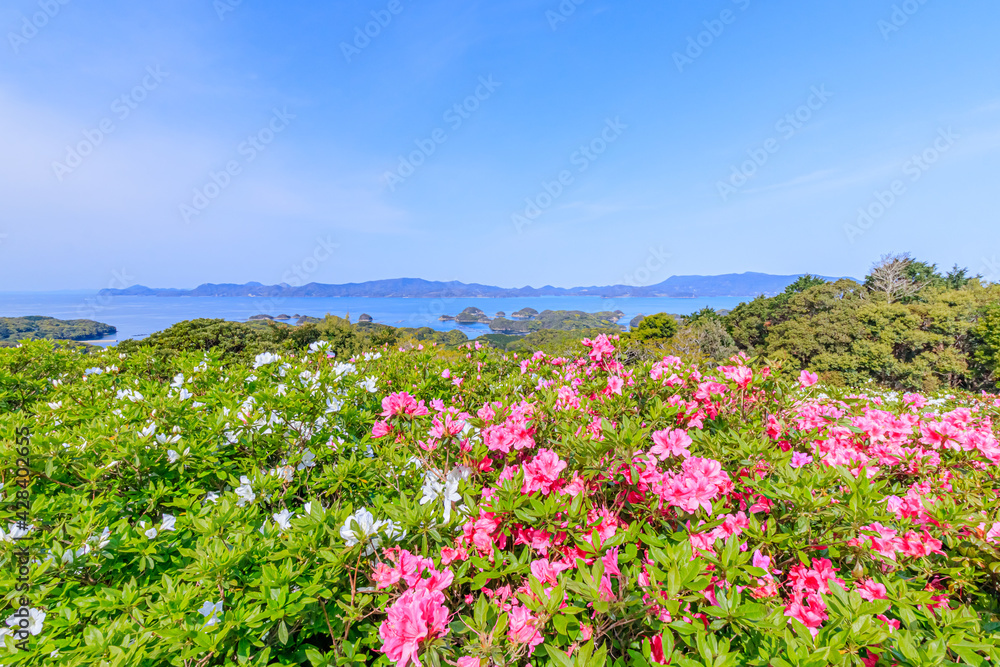 西海国立長串山公園のつつじ 長崎県佐世保市 Azalea Nagasaki-ken Sasebo city Saikai National Park Nagakushiyama park 西海国立長串山公園のつつじ 長崎県佐世保市 Azalea Nagasaki-ken Sasebo city Saikai National Park Nagakushiyama park