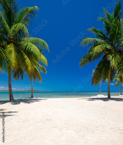 tropical Maldives island with white sandy beach and sea