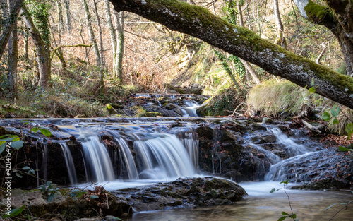 Waterfall in the forest