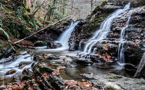 Waterfall in the forest