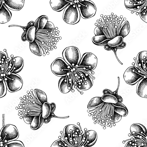 Seamless pattern with black and white feijoa flowers