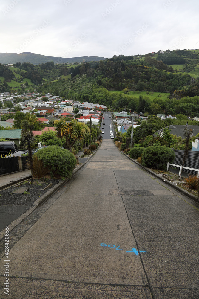 Dunedin - Baldwin Street - Steilste Straße der Welt / Dunedin - Baldwin Street - Steepest street in the world /