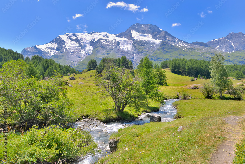 beautiful scenic landscape in alpine mountain with glacier and greenery meadow with a little river