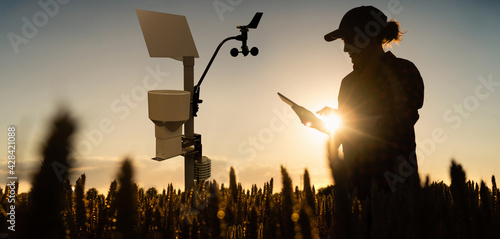 Farmer with tablet in a wheat field. Weather station in the field. photo