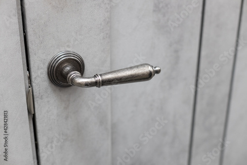 Detail of a metallic knob on grey door horizontal