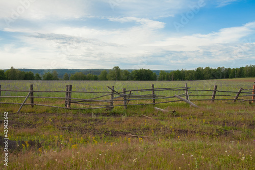 Summer landscape with old fence