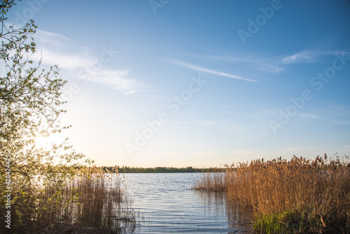 Green bank of a lake. Saturated colors.