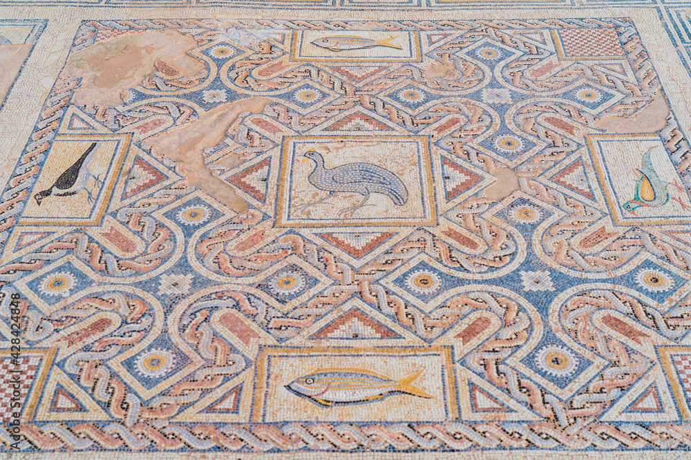 Mosaic the house of Eustolios at the ancient city of Kourion, near Limassol, Cyprus