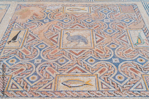 Mosaic the house of Eustolios at the ancient city of Kourion, near Limassol, Cyprus