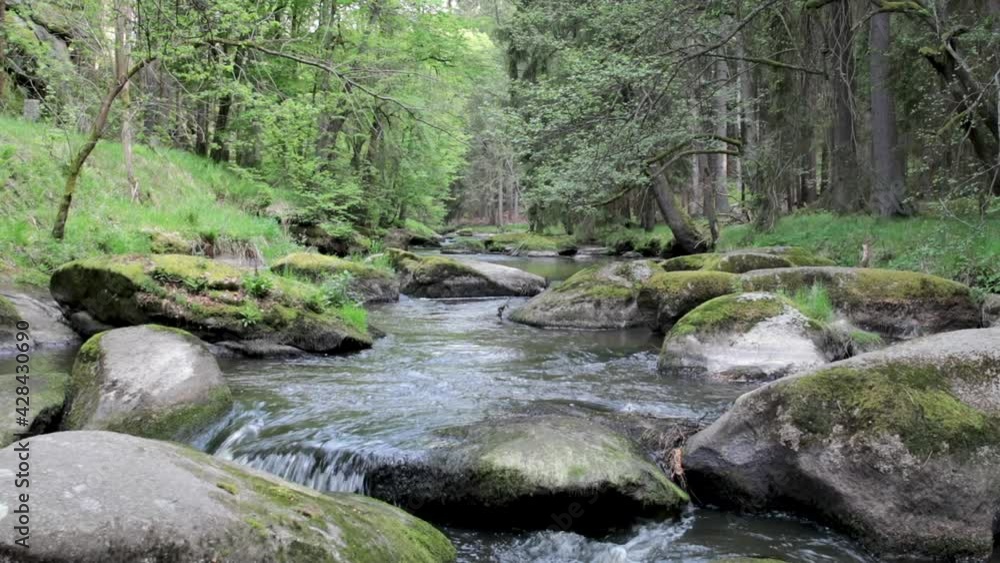 Frühsommerlicher Flusslauf im Wald, Wasser über Felsen, Waldnaab, Waldnaabtal Frühsommerlicher Flusslauf im Wald, Wasser über Felsen, Waldnaab, Waldnaabtal