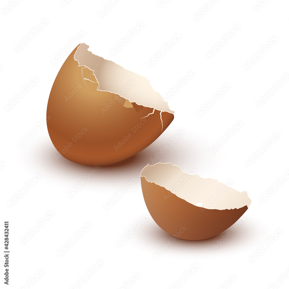 Broken empty eggshell isolated on white background. Vector realistic brown egg. Broken empty eggshell isolated on white background. Vector realistic brown egg.