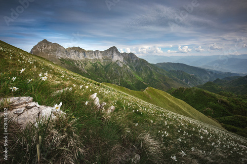 alpi apuane