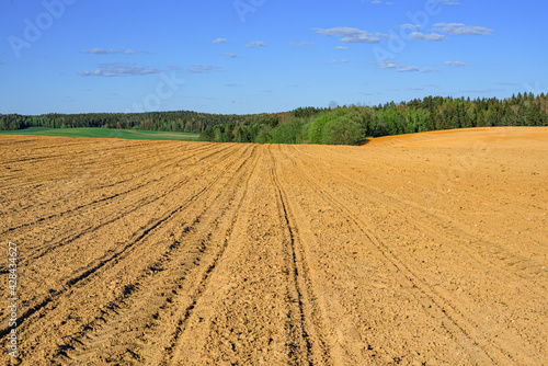 Landscape with agricultural land  in slope  recently plowed and prepared for the crop  with a forest in the background