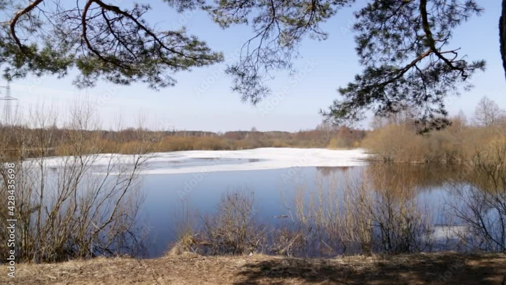 Beautiful view of the spring lake with ice because of the trees Beautiful view of the spring lake with ice because of the trees