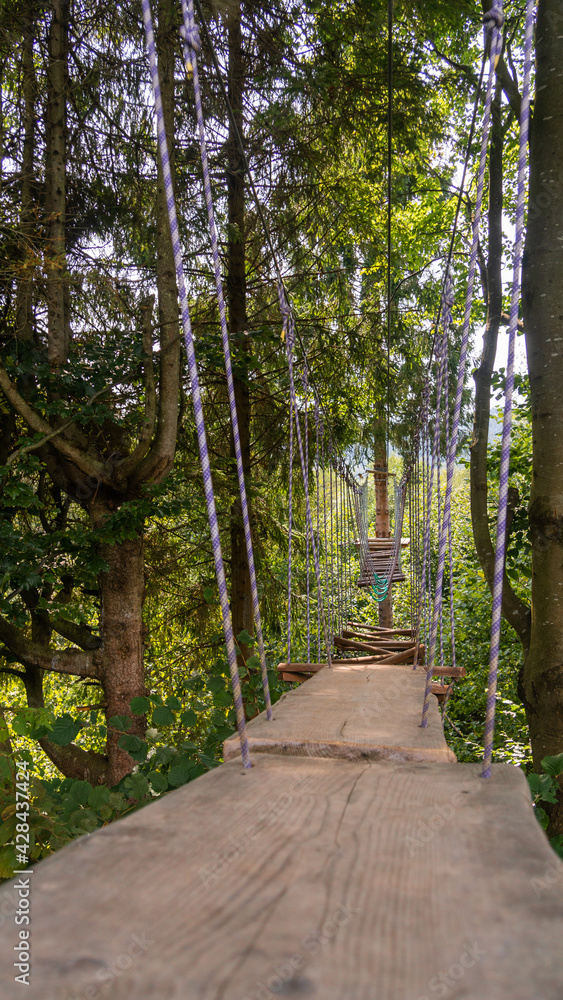 Rope road course in trees