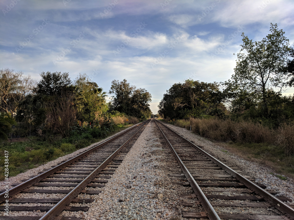 railway in the countryside