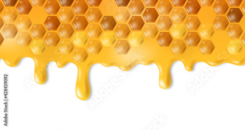 honeycomb with dripping honey isolated on white background vector illustration