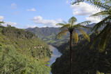Whanganui  River / Whanganui  River /