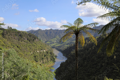 Whanganui River / Whanganui River /