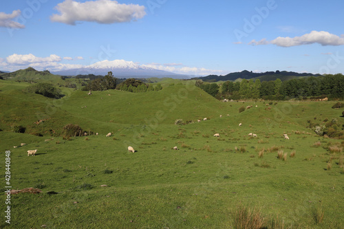 Mount Ruapehu und Mount Ngauruhoe Neuseeland / Mount Ruapehu and Mount Ngauruhoe New Zealand