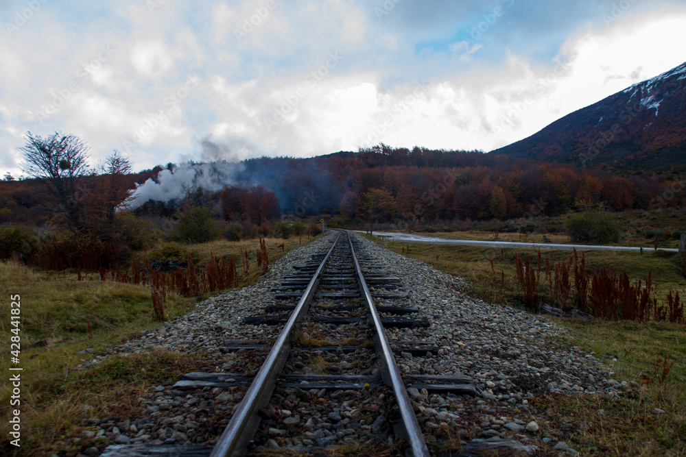 In a beutiful nature landscape, rails and the smoke of an old train passing at the distance