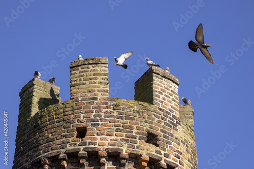 Cultural heritage site with ruins of city wall photo