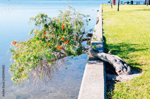 Morning of McKay Bay beach in Tampa  Florida