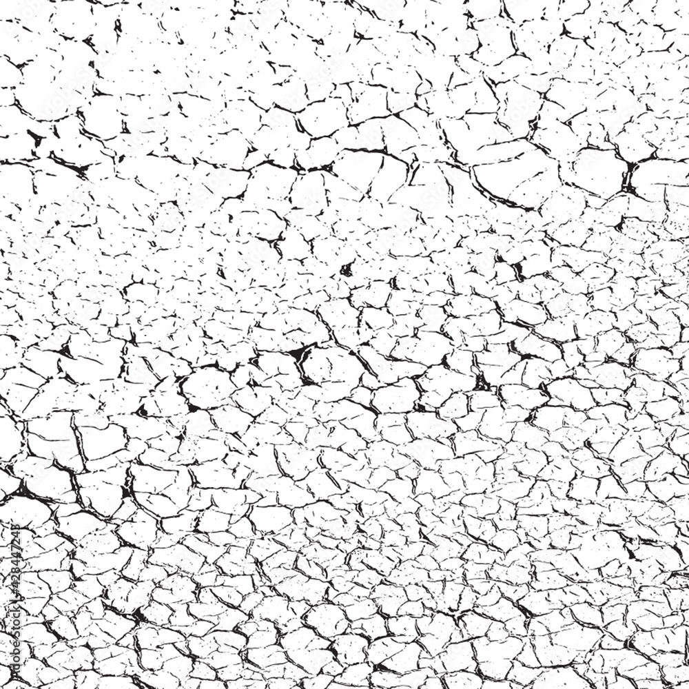 Fototapeta premium Distress Overlay Texture