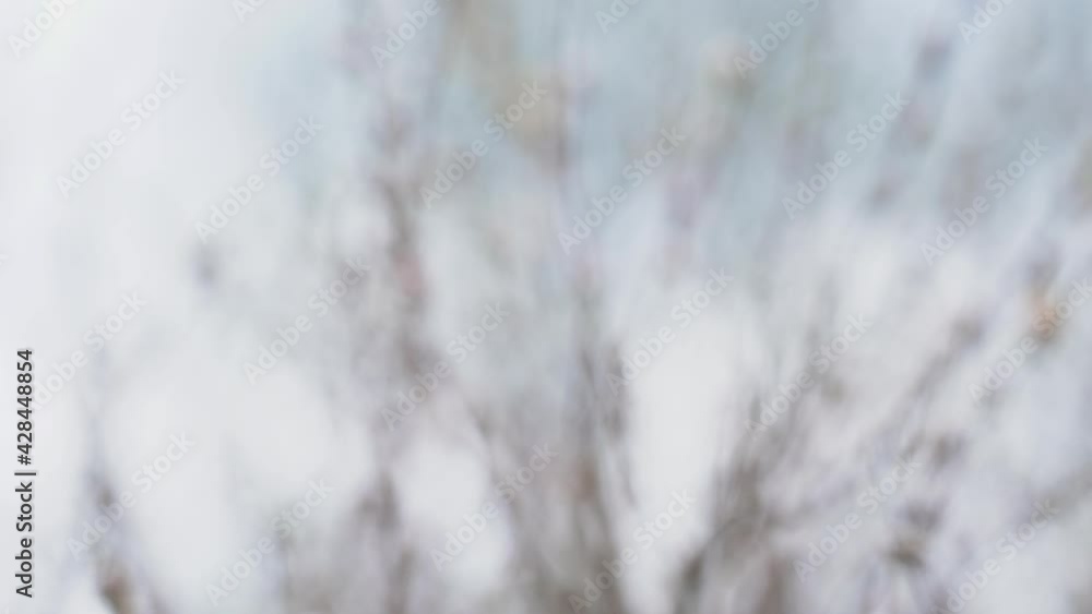 Minimal abstract pastel white and blue colors 4k stock video bokeh background. Beautiful shadows on faded blue background Minimal abstract pastel white and blue colors 4k stock video bokeh background. Beautiful shadows on faded blue background