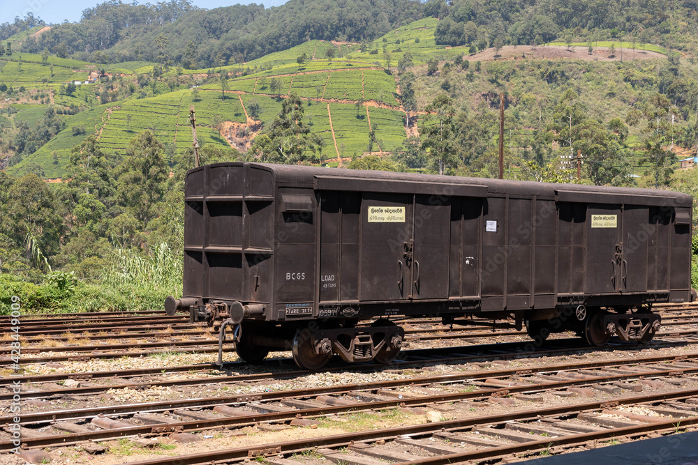 Obraz premium Bahnfahrt von Nuwara Eliya Nanuoya nach Ella die wohl schönste Bahnstrecke der Welt, vorbei an Teefelder und riesige Berge 