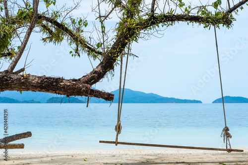 Old swing hanging on a tree on sandy beach  blue sea and sky background.