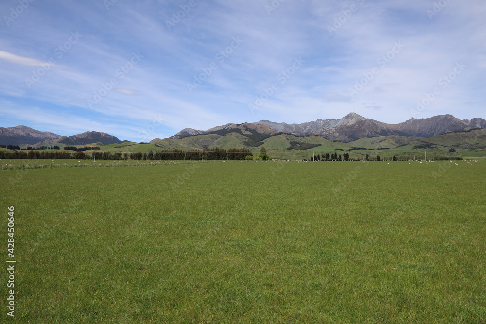 Neuseeland - Landschaft / New Zealand - Landscape