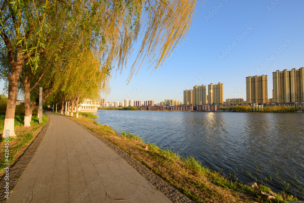Waterfront skyline and sprouting willow branches in spring