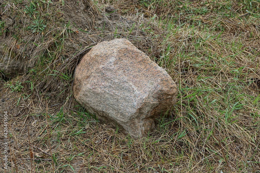 one large brown stone lies in green and gray dry grass in the park one large brown stone lies in green and gray dry grass in the park