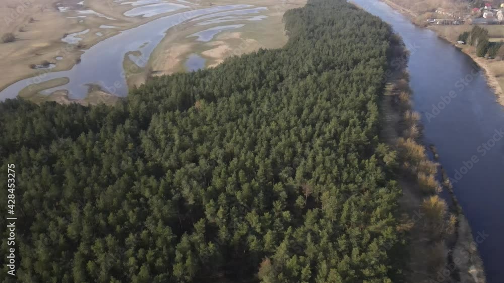 aerial view river Narew nature water forest aerial view river Narew nature water forest