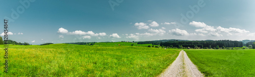 Gerader Weg in einer Grünen Landschaft