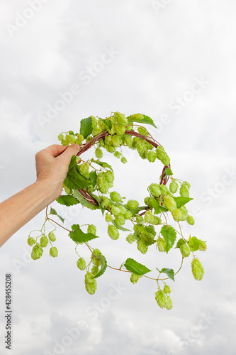 Hopfenkranz in einer Hand vor hellem Hintergrund