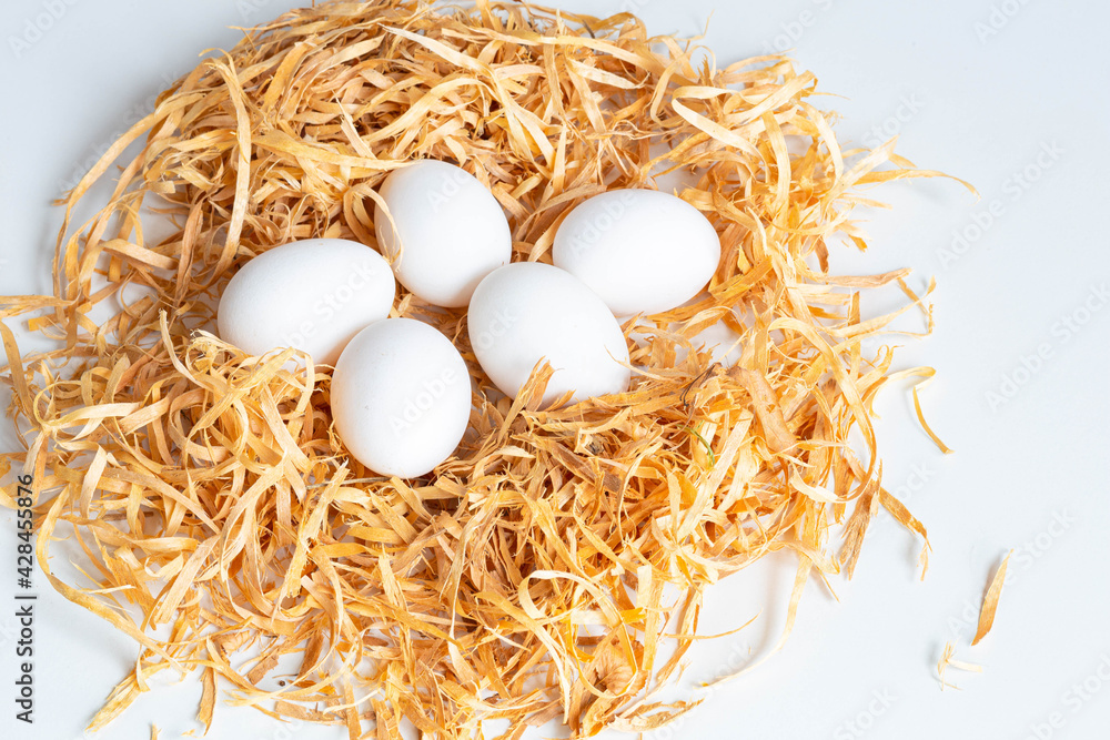 white chicken eggs lie in a nest of wood shavings on a white background white chicken eggs lie in a nest of wood shavings on a white background