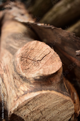 Plakat Wood