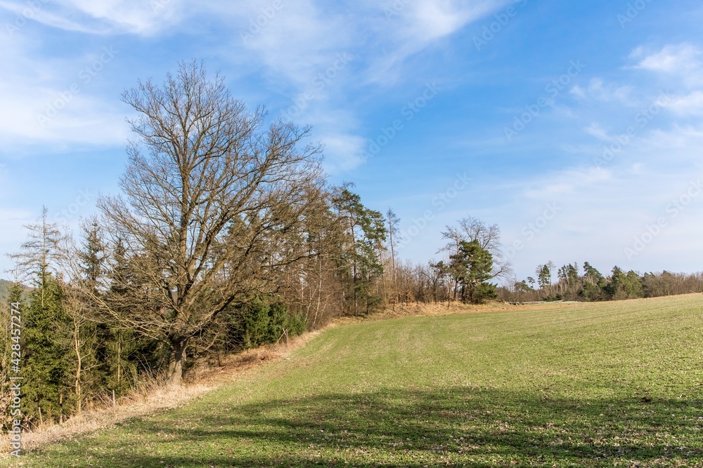 Landscape in the countryside in the Czech Republic. Agricultural landscape in spring. Sunny spring day in the countryside Landscape in the countryside in the Czech Republic. Agricultural landscape in spring. Sunny spring day in the countryside