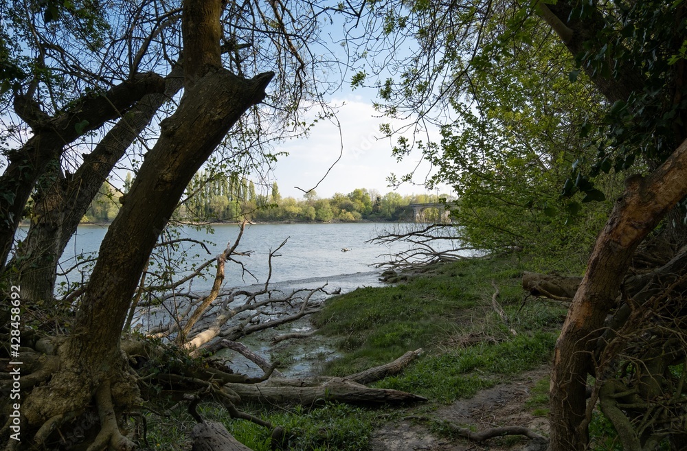 Fototapeta premium Parc du CRAPA à Nantes sur l'île Beaulieu