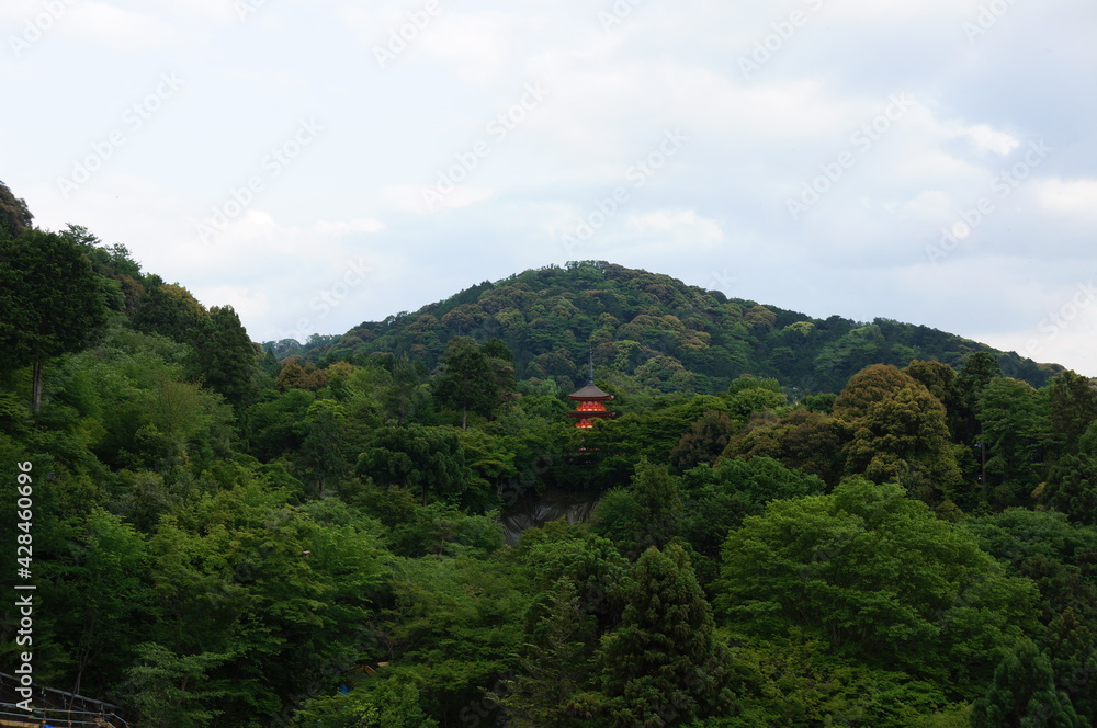 Fototapeta premium kyoto