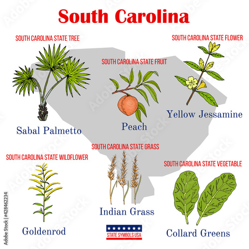 South Carolina. Set of USA official state symbols