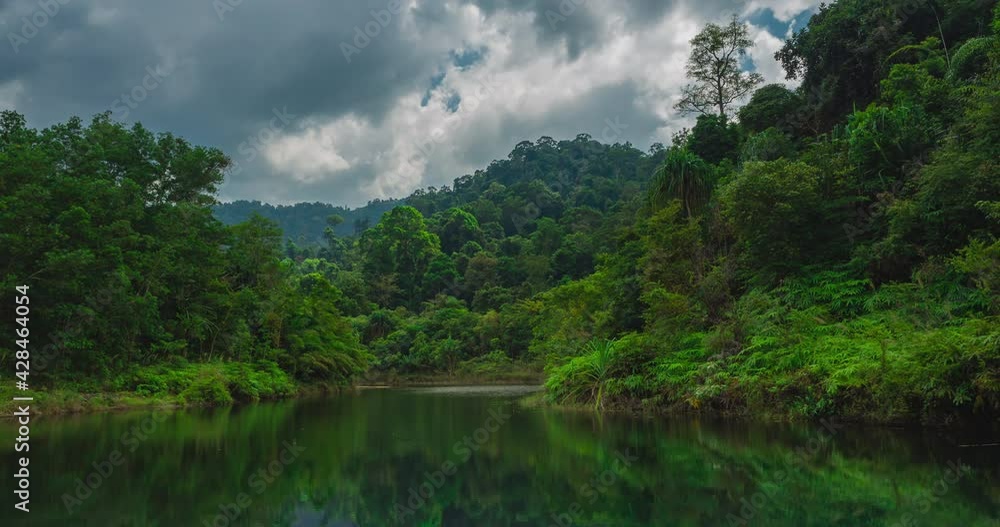 dramatic sky with stormy gray clouds, spring season forest nature background. Dark gray sky at lake and mountain. B roll footage of rain forest in tropical. Cloudy day and the trees. greenery scenic. dramatic sky with stormy gray clouds, spring season forest nature background. Dark gray sky at lake and mountain. B roll footage of rain forest in tropical. Cloudy day and the trees. greenery scenic.