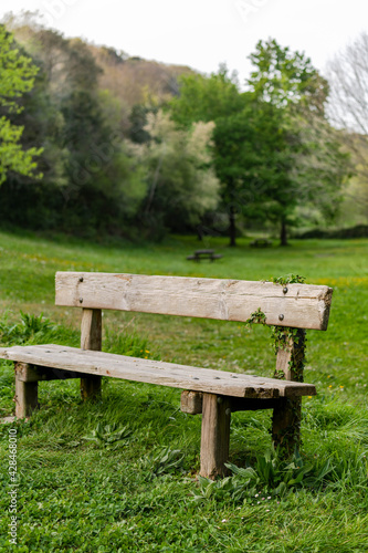 A rustic wooden bench on a green lawn